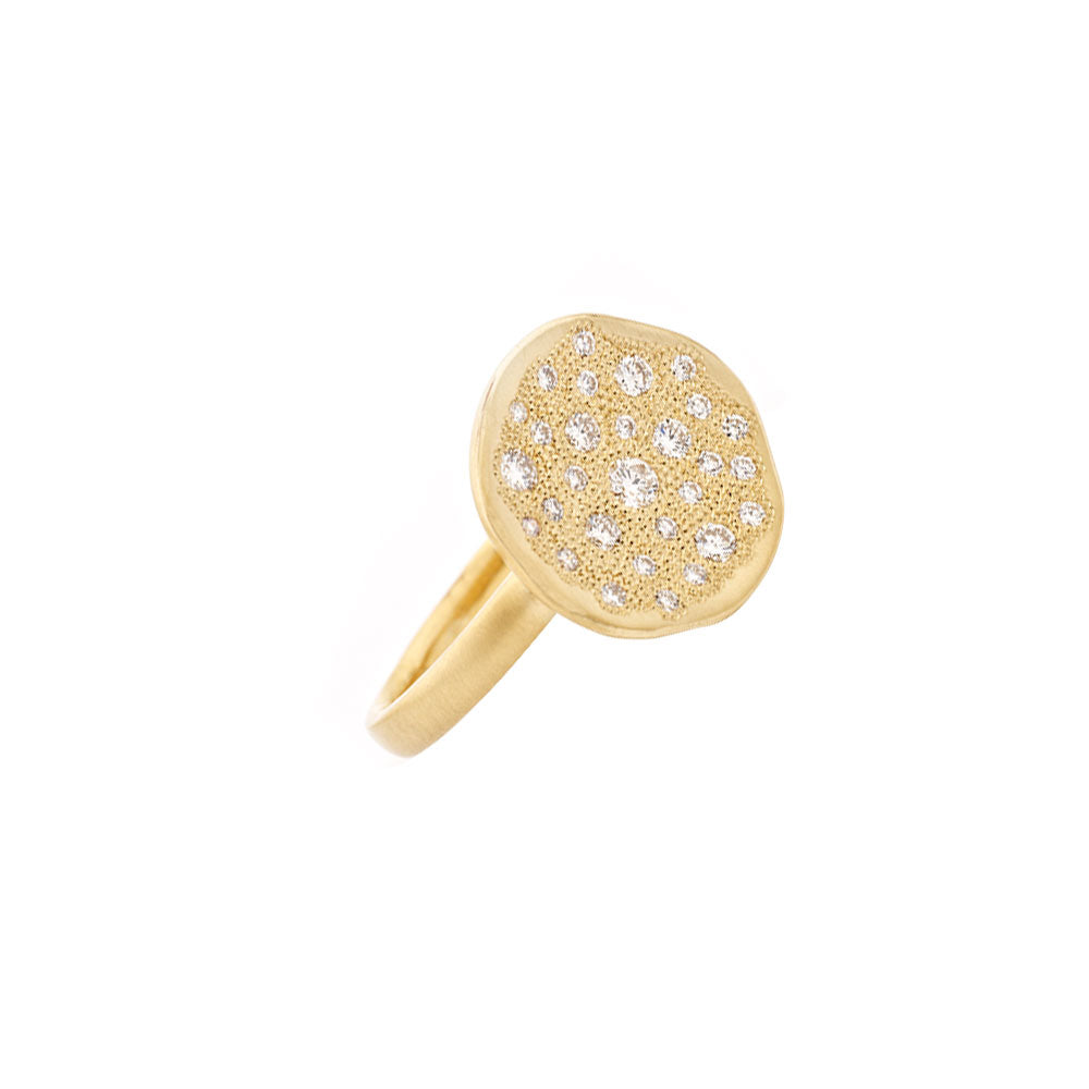 18 Karat Yellow Gold Diamond Stardust Ring